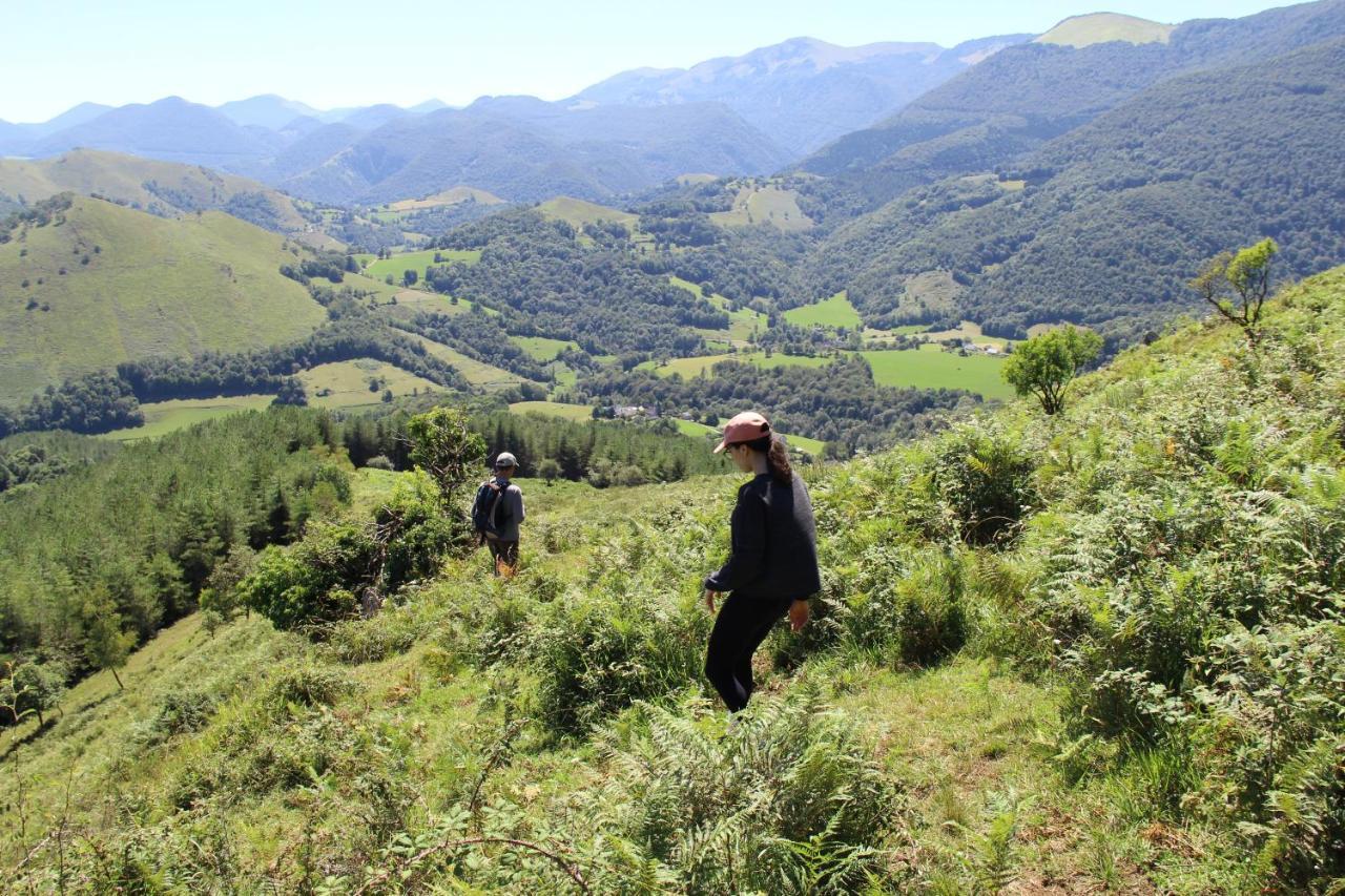 Villa Les Granges de la hulotte, les Mésanges à Lies Extérieur photo